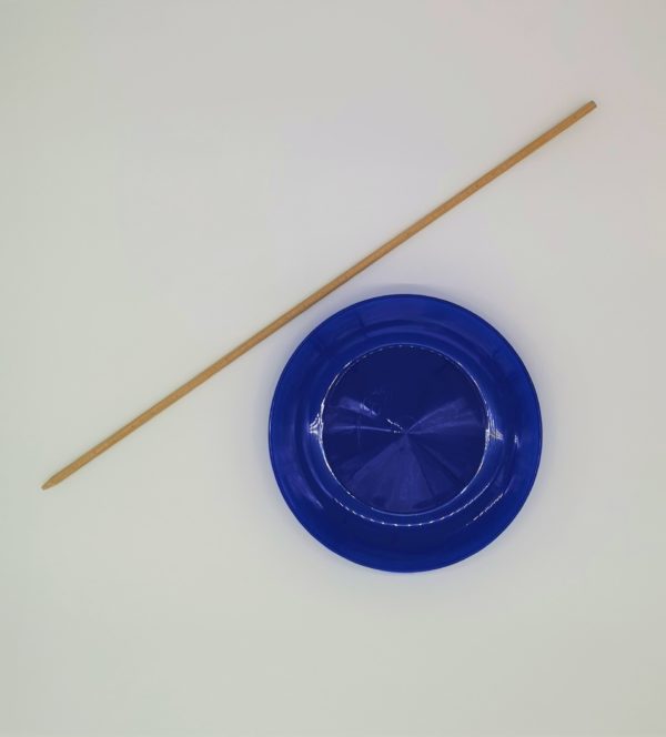 Assiette Plastique + baguettes bois