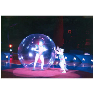 Bulle Ø2.00m 3/10e PVC cristal Glissières intérieure/ extérieure-0