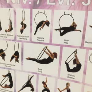 Pack de 2 posters figures cerceau aérien