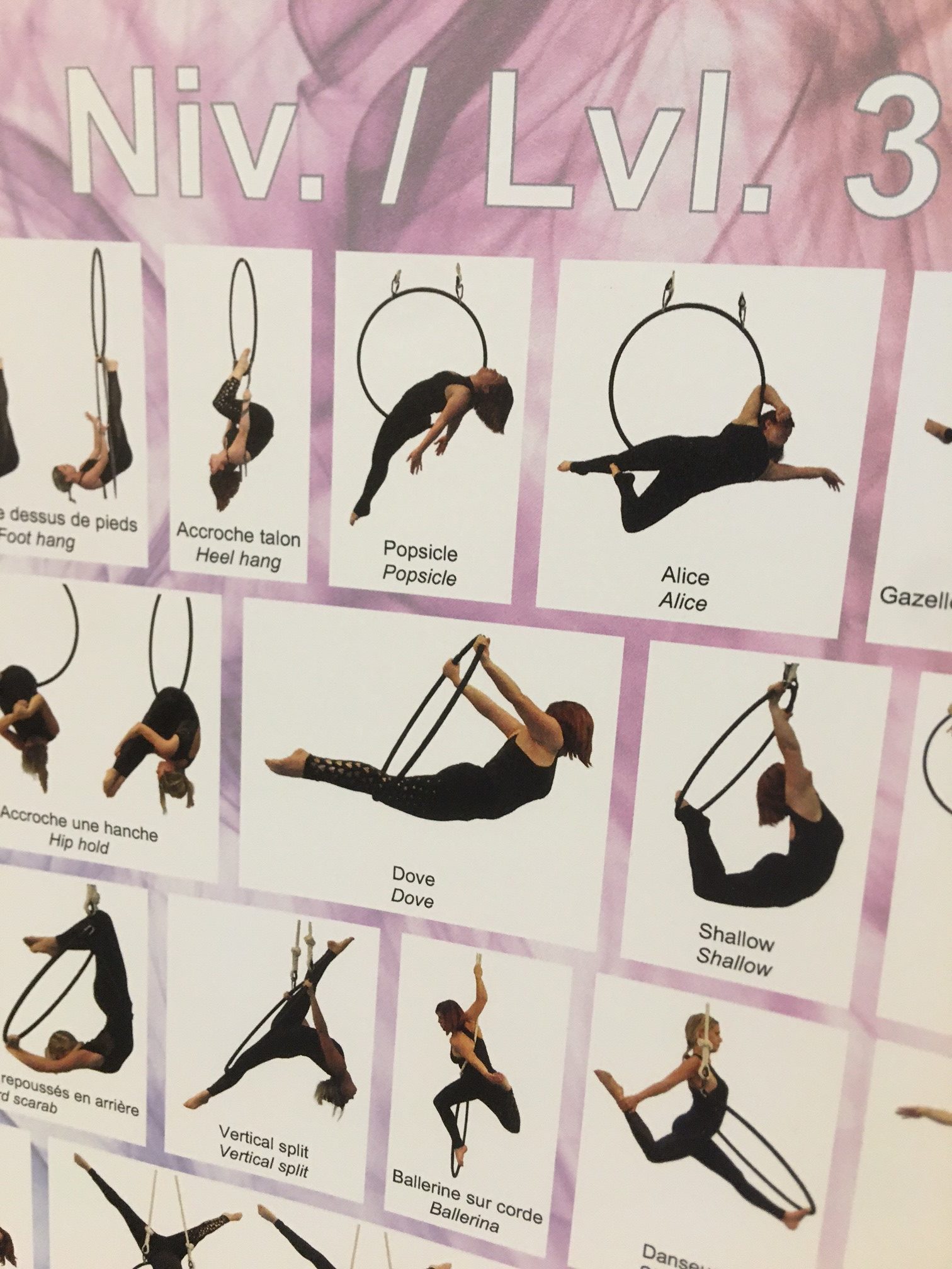 Pack de 2 posters figures cerceau aérien (Niv. 1, 2, 3 & 4)/Pack of 2  posters Aerial Hoop tricks (Lvl 1, 2, 3 & 4)